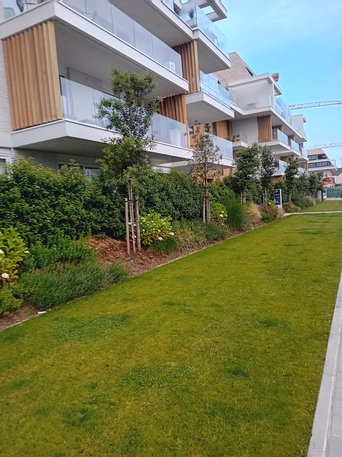 Groene omgeving rond het vakantiecomplex