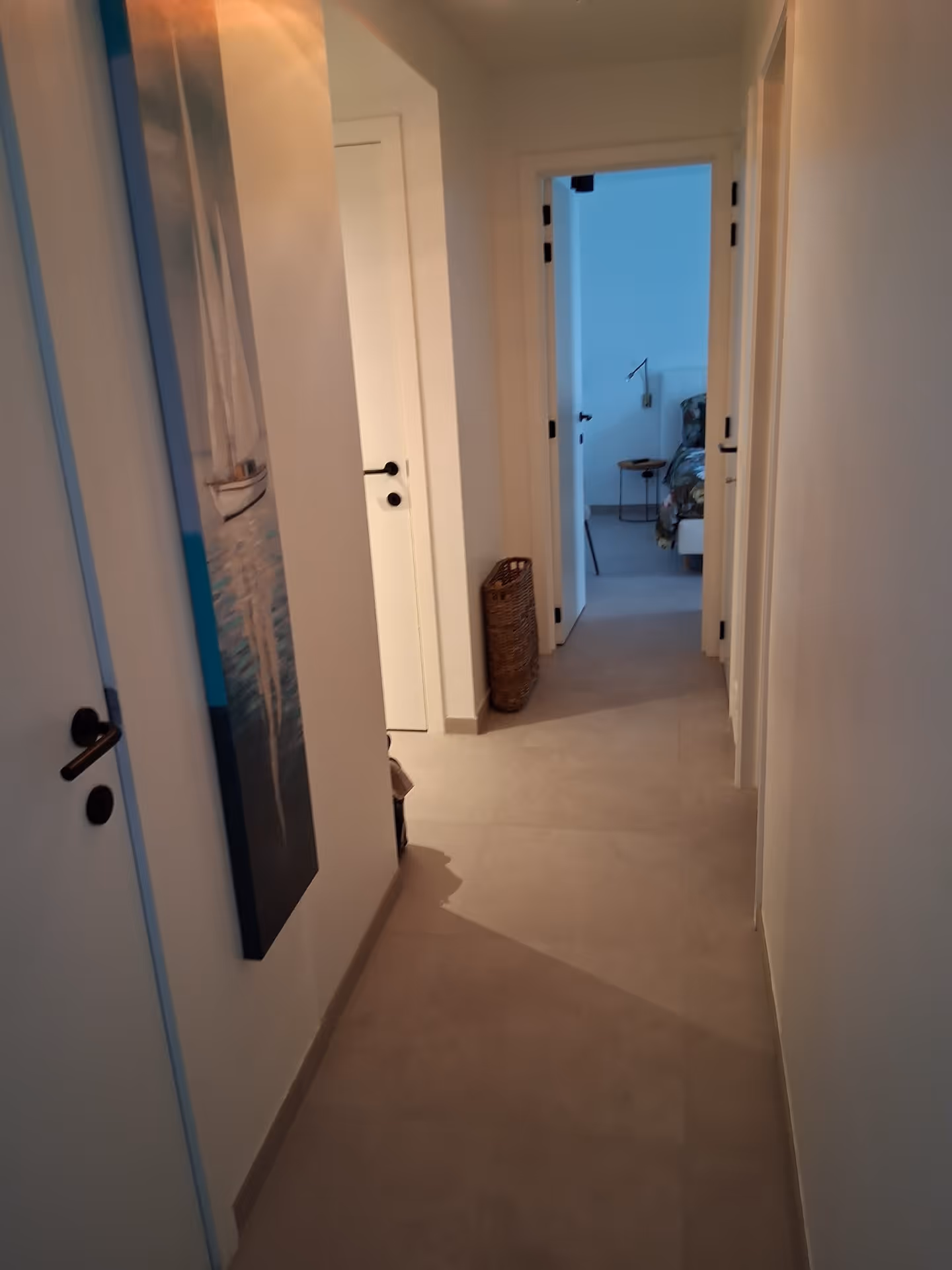 Inkomhal en gang van het appartement